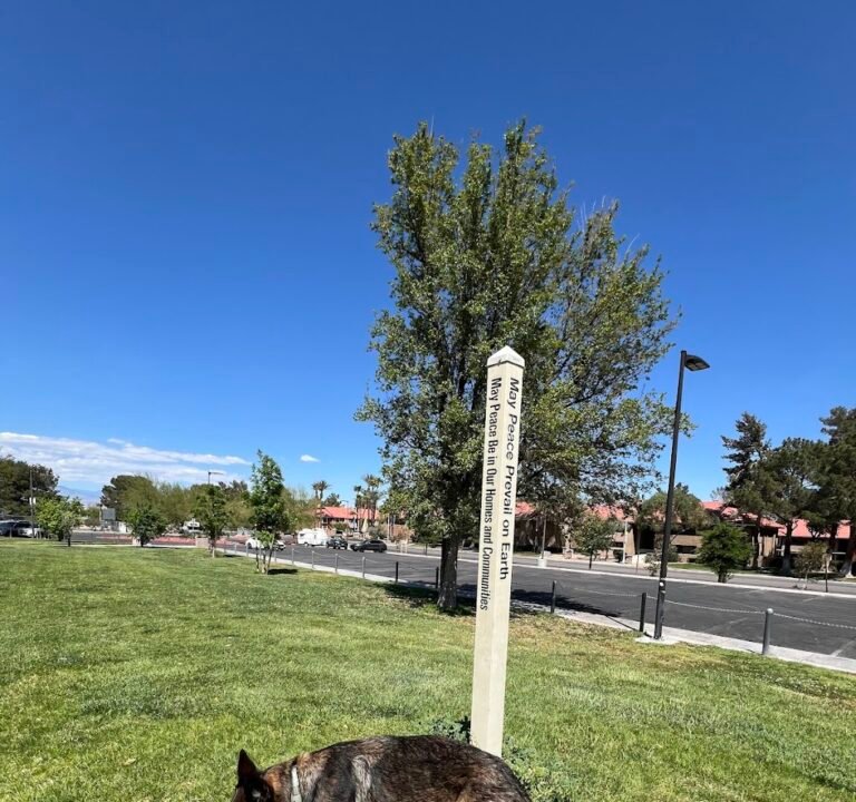 Soccer Field image 3