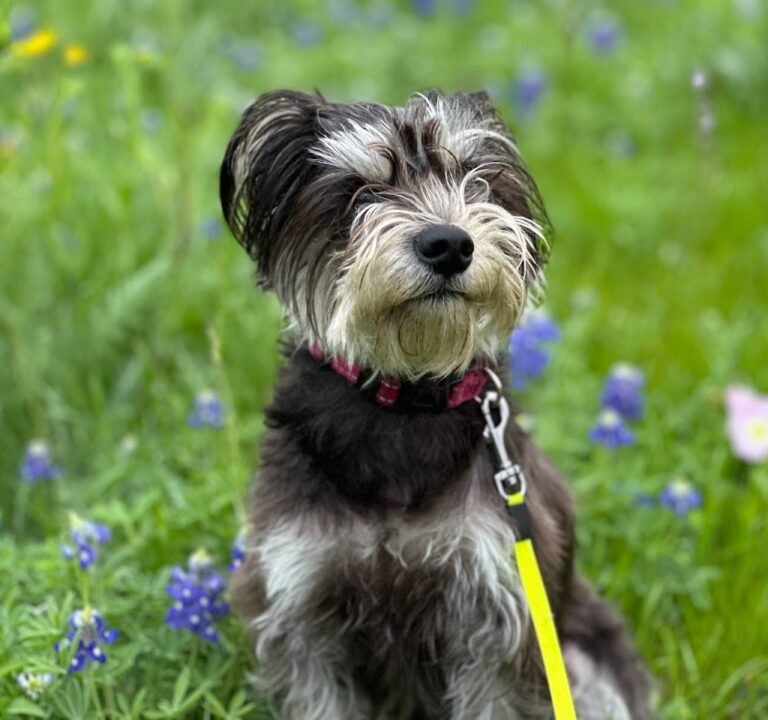 Soccer Field image 2