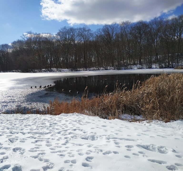 Soccer Field image 3