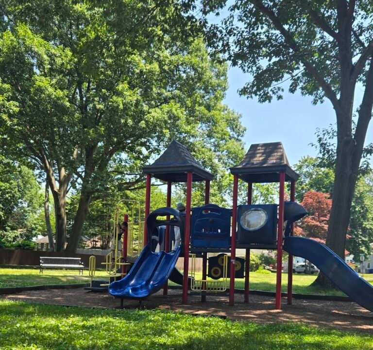 Soccer Field image 2