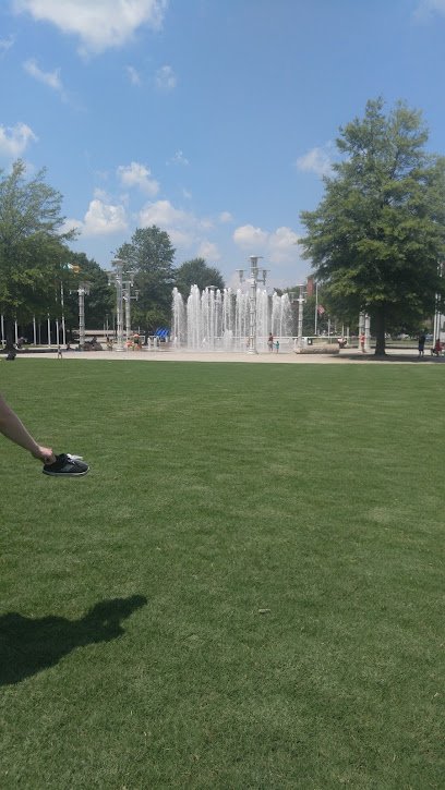 Soccer Field image 1