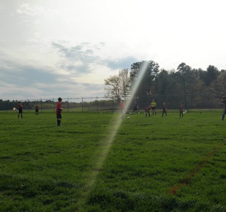 Soccer Field image 3