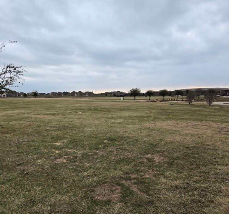 Soccer Field image 3