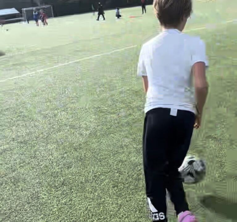 Soccer Field image 2