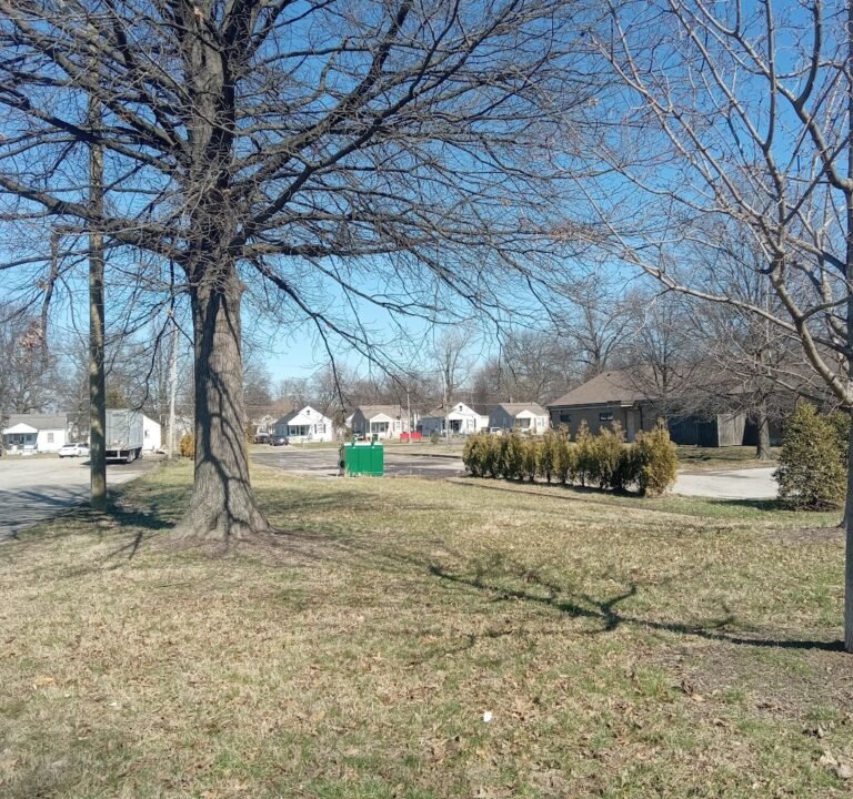 Soccer Field image 2