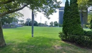 Soccer Field image 1