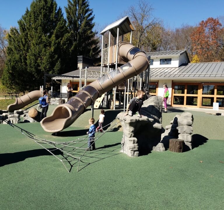 Soccer Field image 2