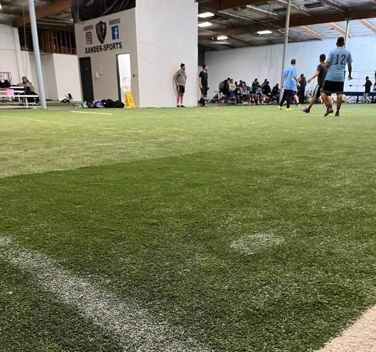 Soccer Field image 3