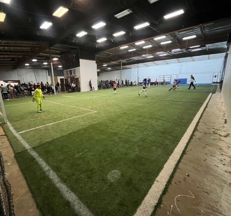 Soccer Field image 2