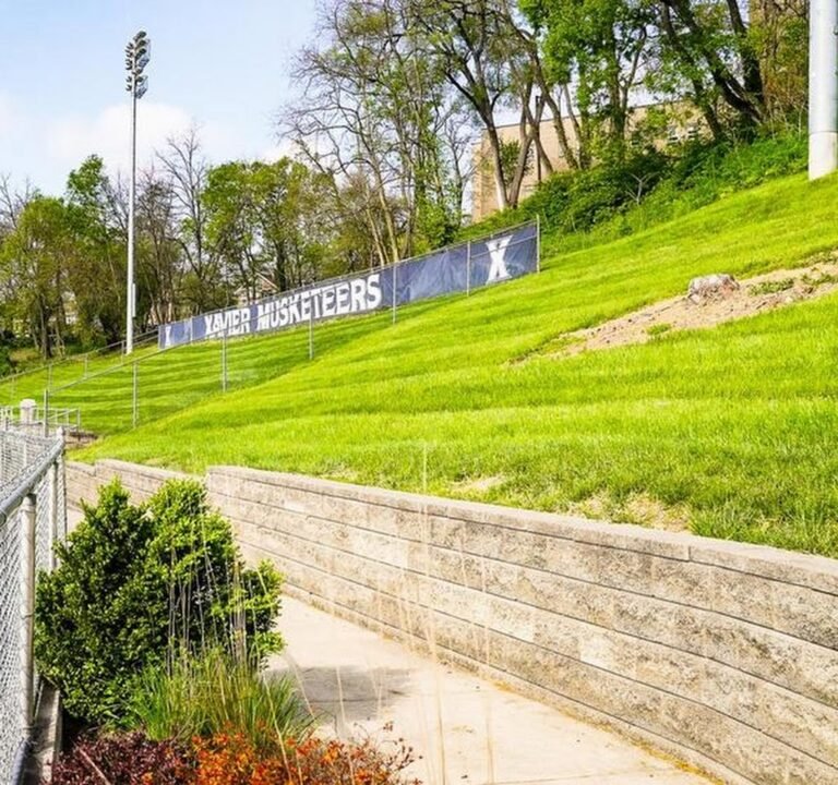 Soccer Field image 2