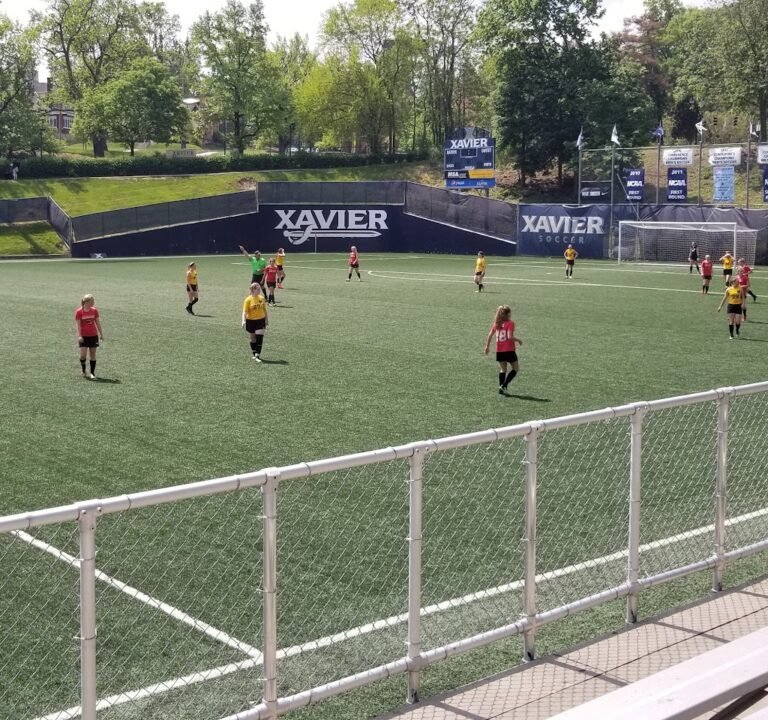 Soccer Field image 3