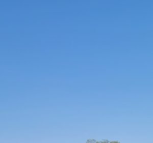 Soccer Field image 2