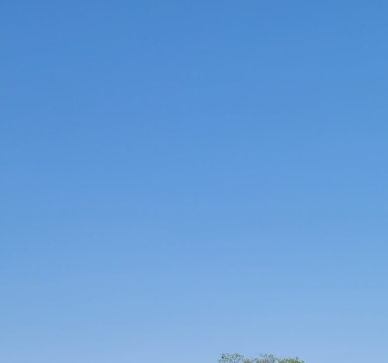 Soccer Field image 2