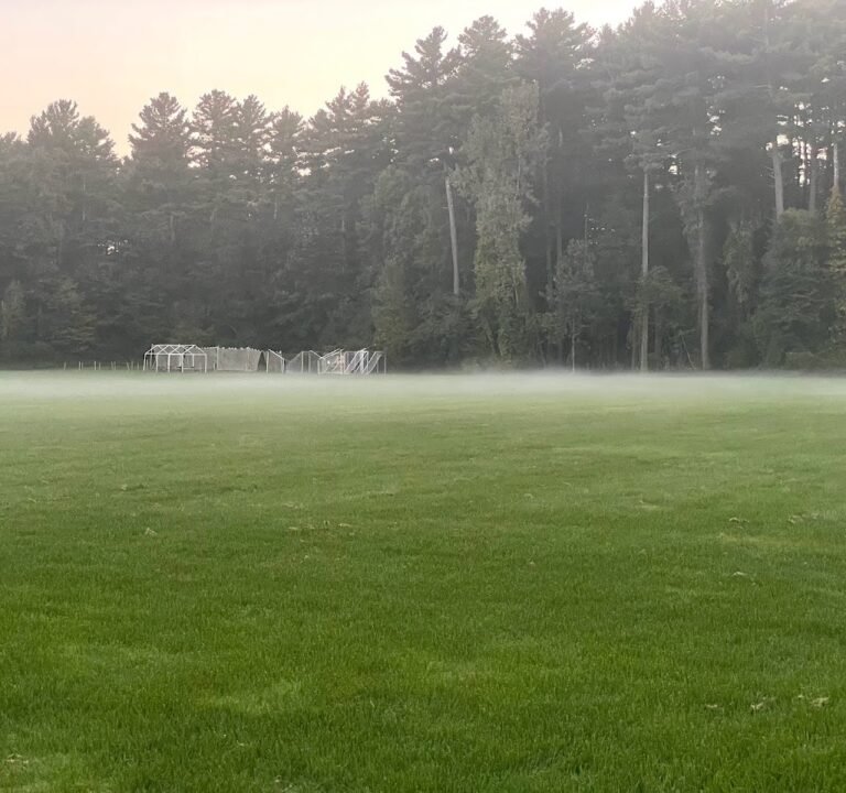 Soccer Field image 2