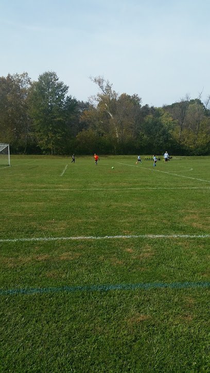 Soccer Field image 1