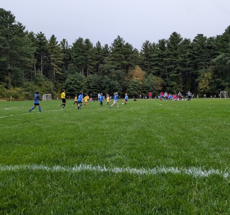 Soccer Field image 3
