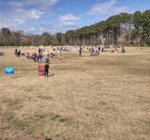 Soccer Field image 2