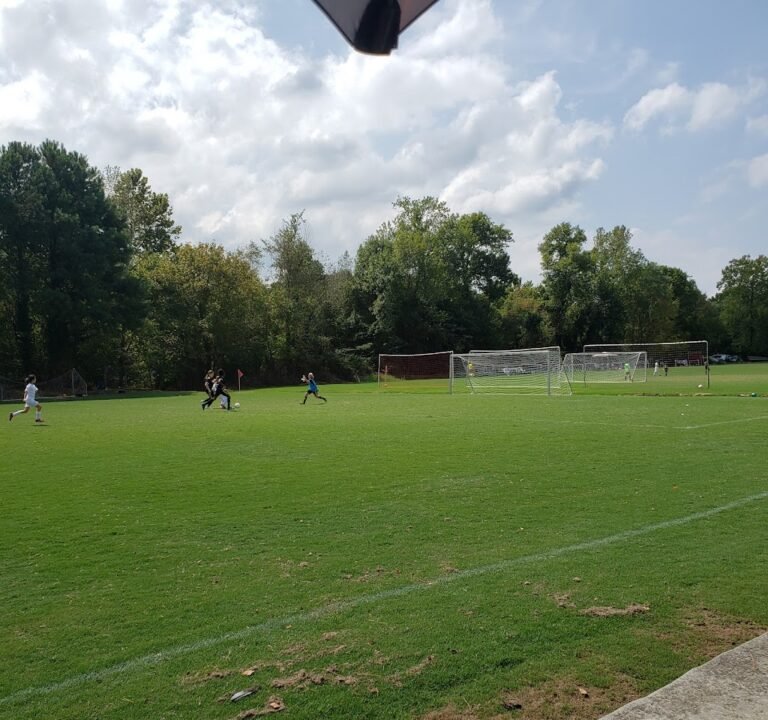 Soccer Field image 2