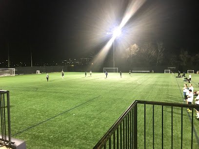 Soccer Field image 1