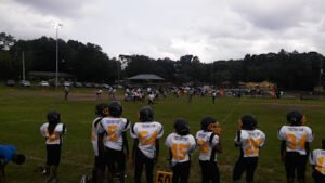 Soccer Field image 1