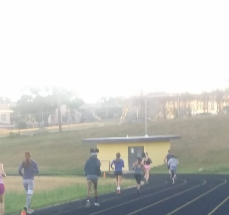 Soccer Field image 3