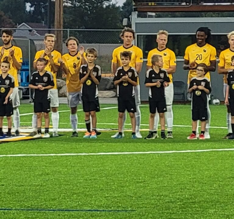 Soccer Field image 2