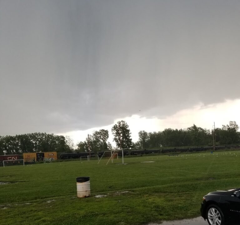 Soccer Field image 2