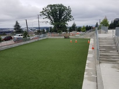 Soccer Field image 1