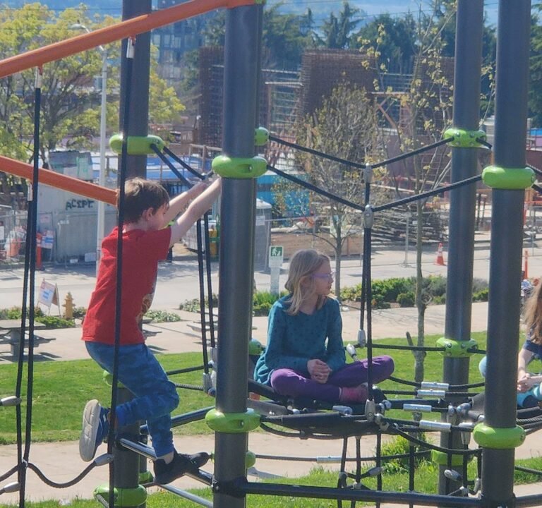 Soccer Field image 4