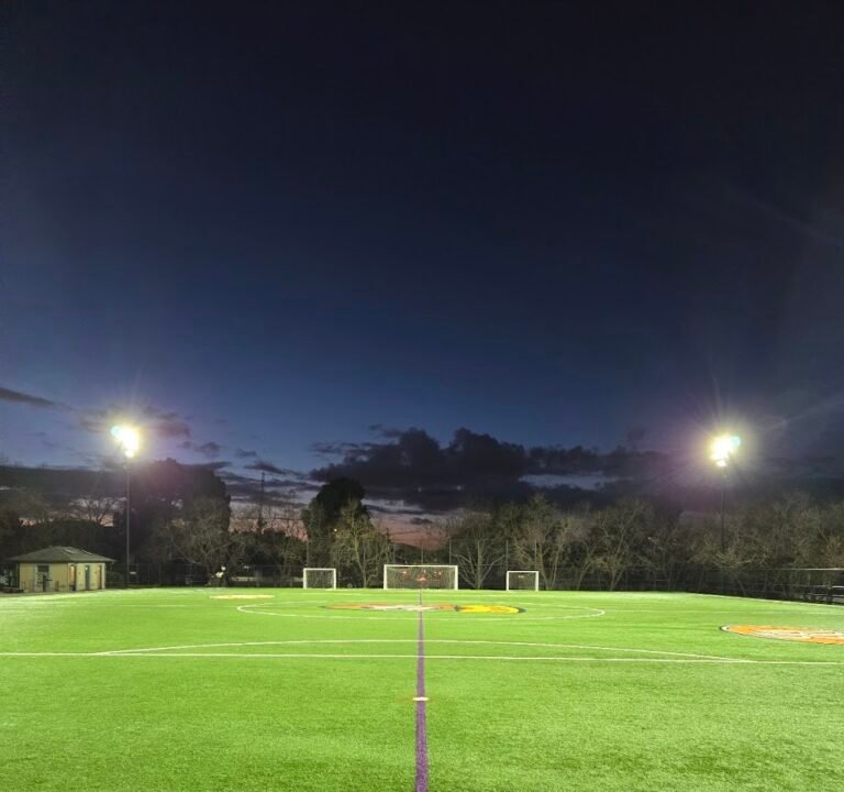 Soccer Field image 3