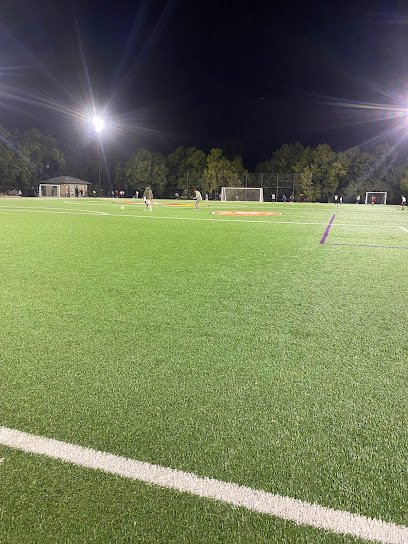 Soccer Field image 1