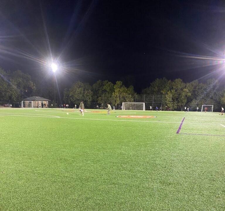 Soccer Field image 2