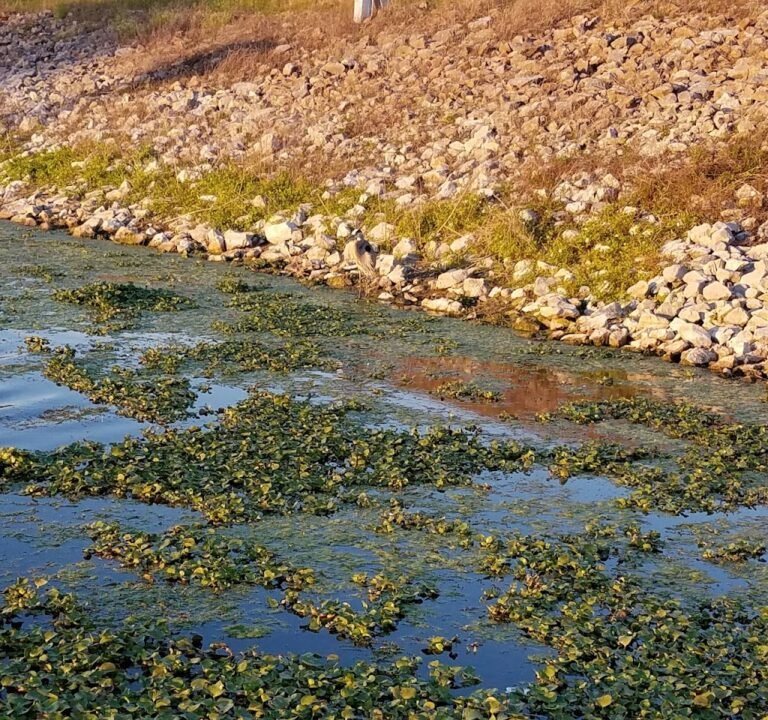 Soccer Field image 2