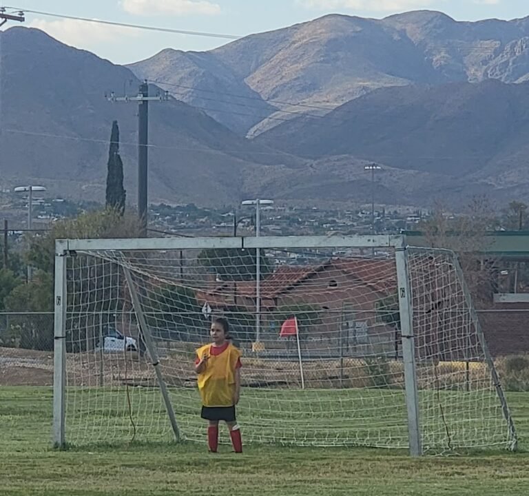 Soccer Field image 2