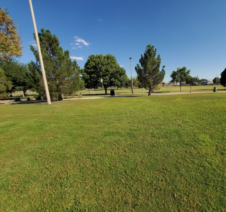 Soccer Field image 2