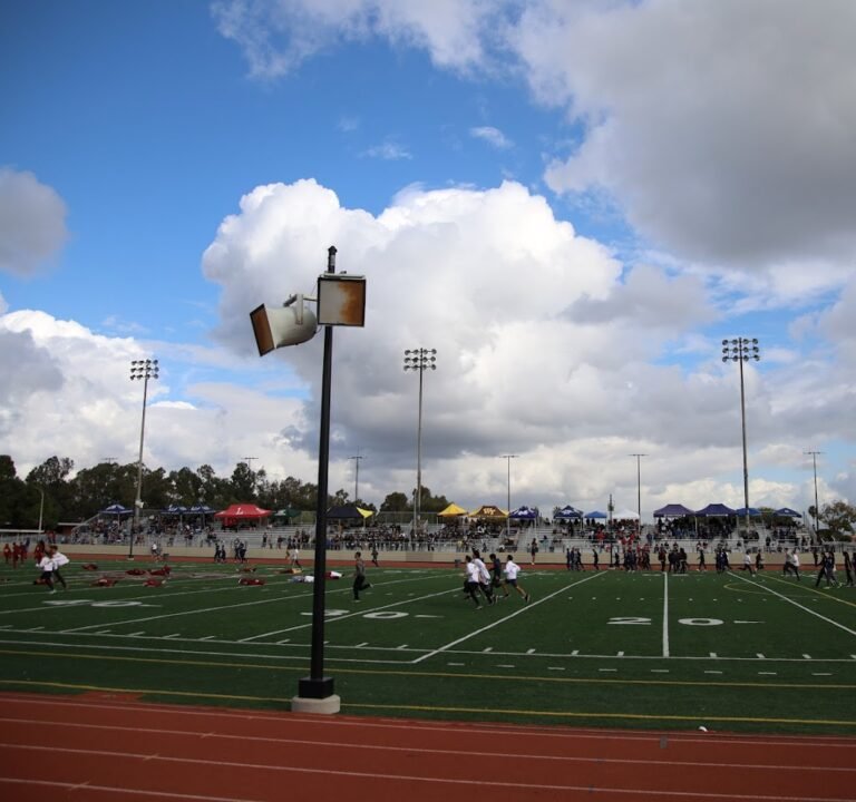 Soccer Field image 2