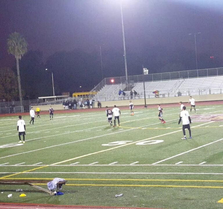 Soccer Field image 3