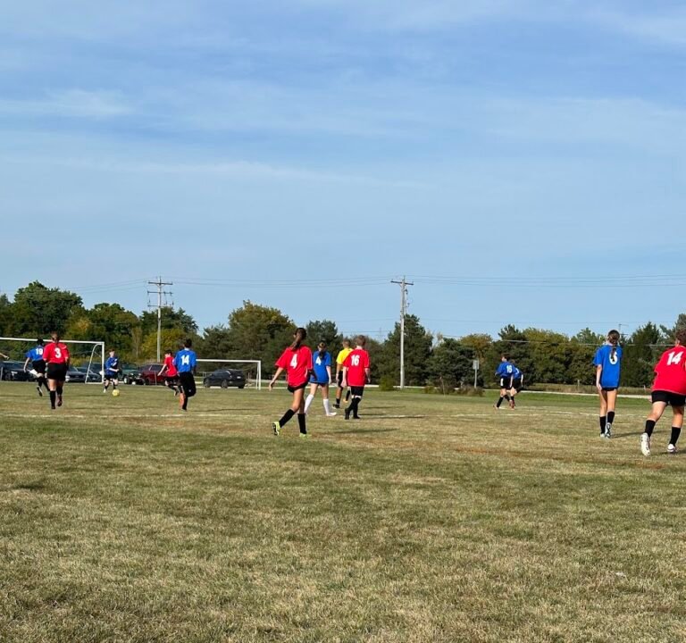 Soccer Field image 2