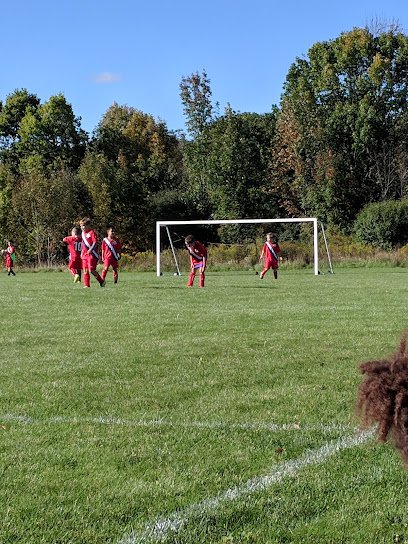 Soccer Field image 1