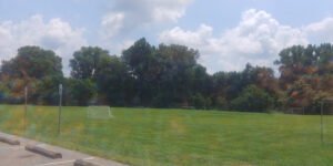 Soccer Field image 1