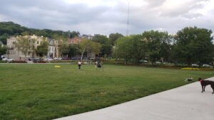 Soccer Field image 1