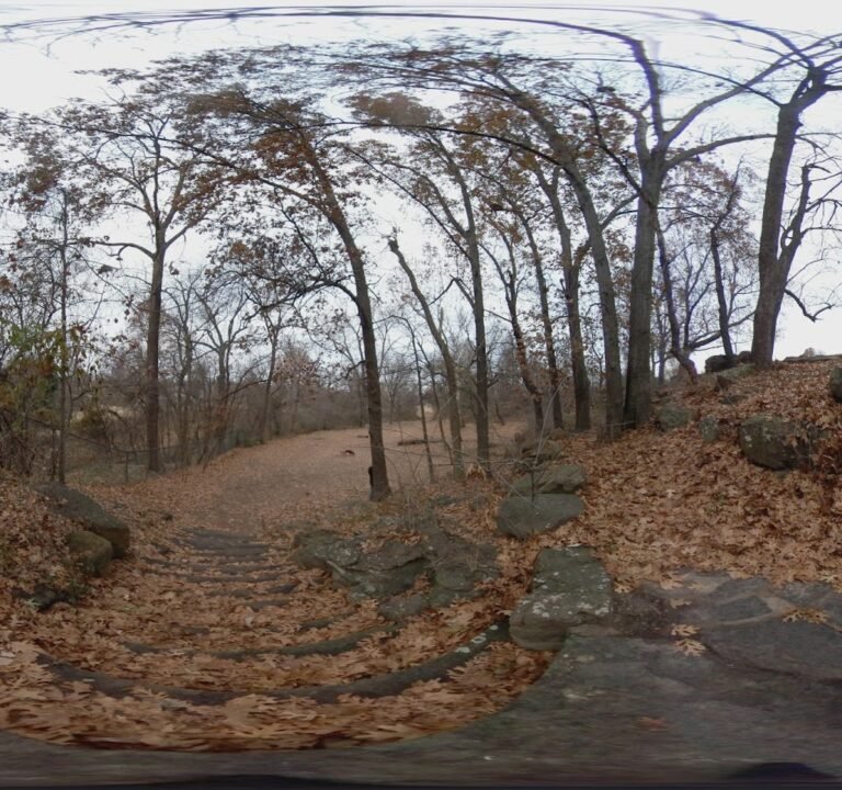 Soccer Field image 3