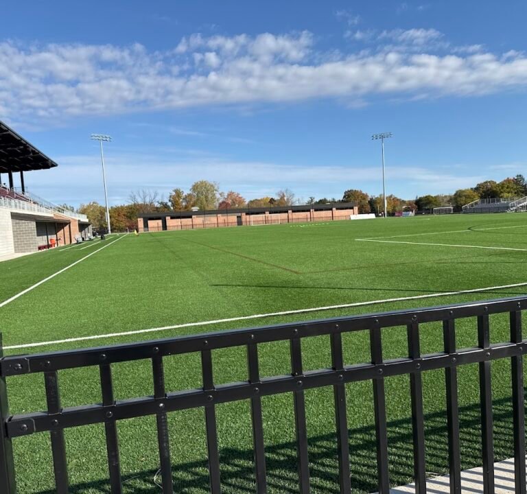 Soccer Field image 2