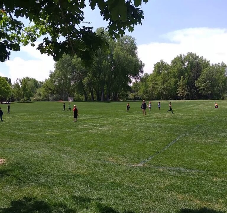 Soccer Field image 4