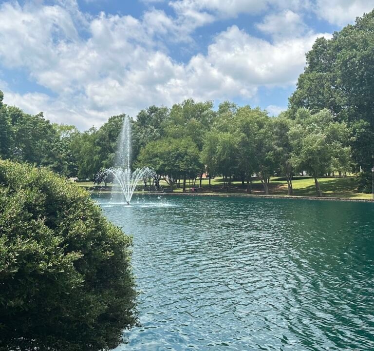 Soccer Field image 2