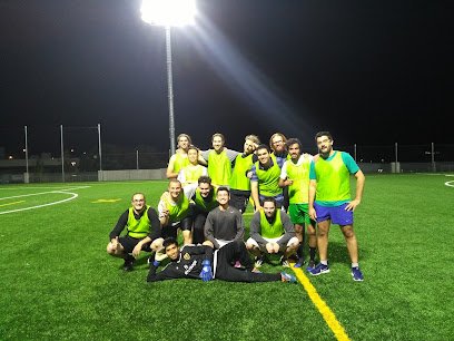 Soccer Field image 1