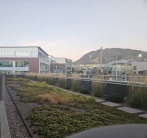 Soccer Field image 2