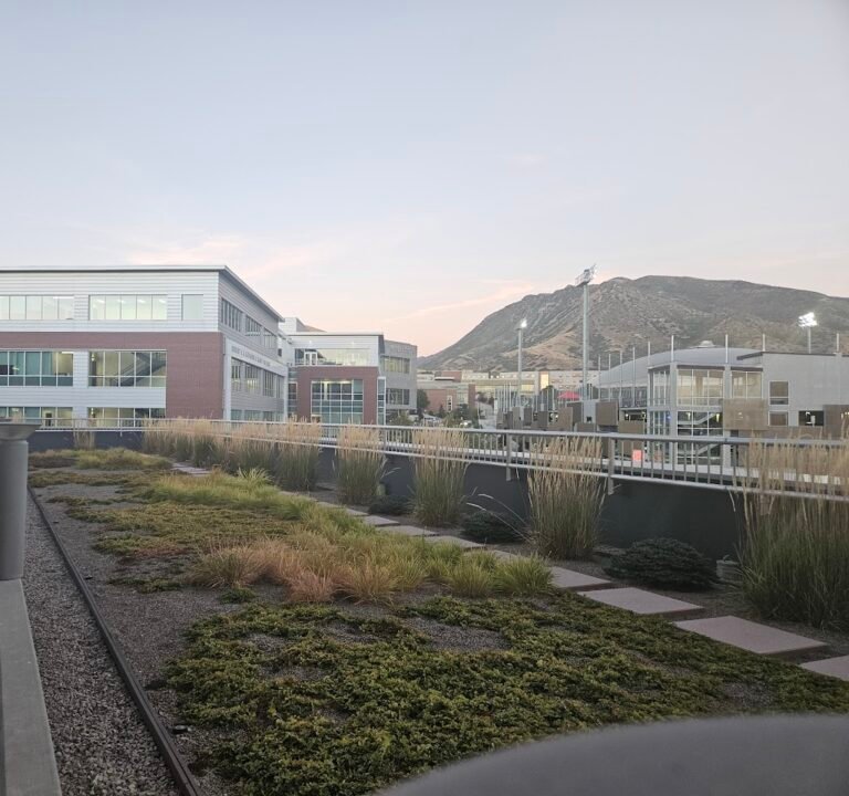 Soccer Field image 2