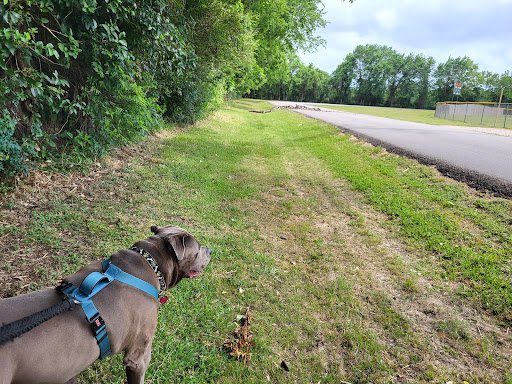 Angleton Bates Park 20250921 180716 005