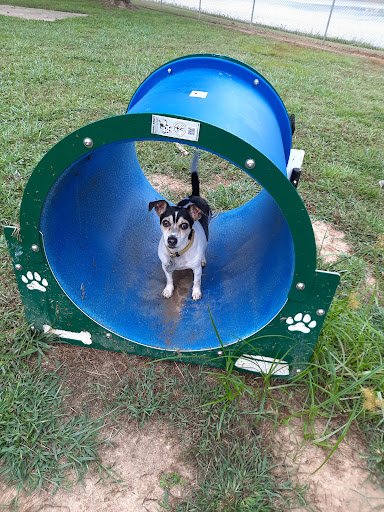 Don Davidson Park 20250921 192921 004